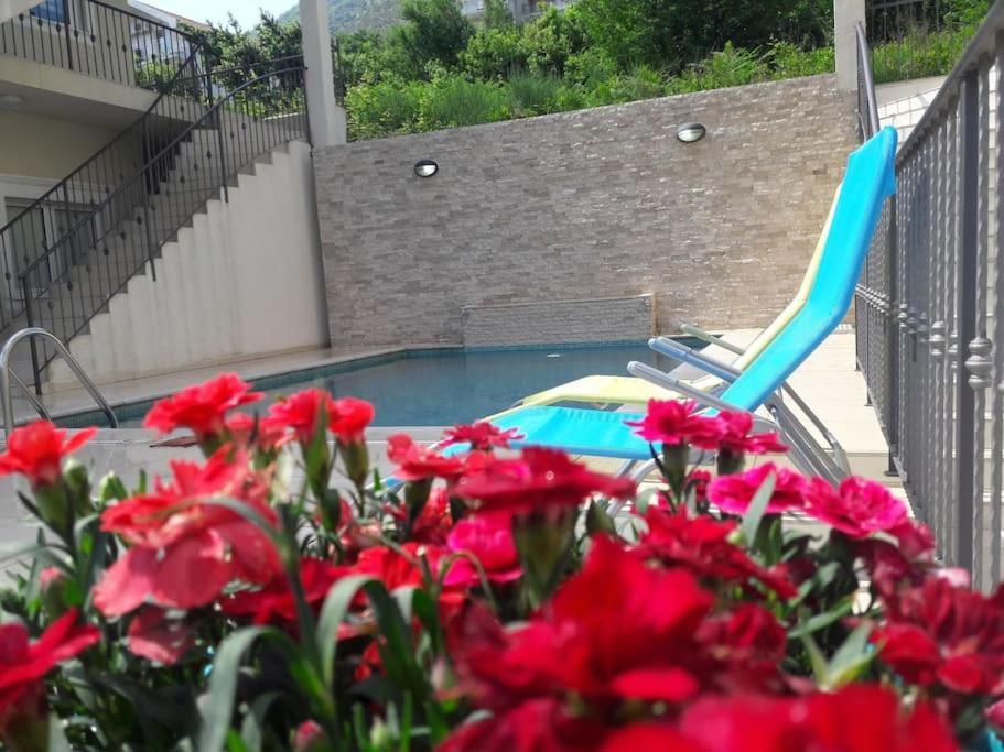 2Br Apartment With Pool 코토르 외부 사진